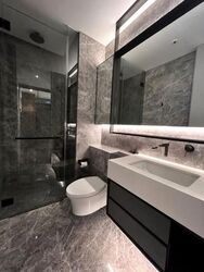 Cuscaden Reserve (D10), Condominium #628718881